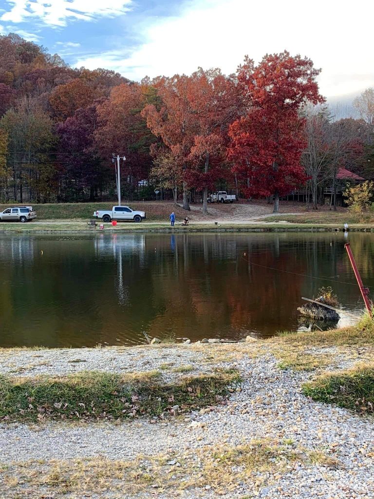 Reids Paylake