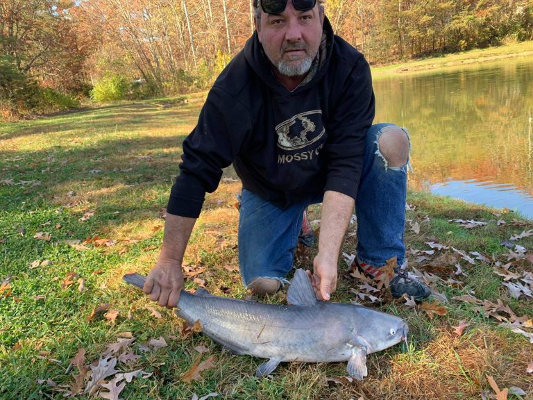 Reids Paylake