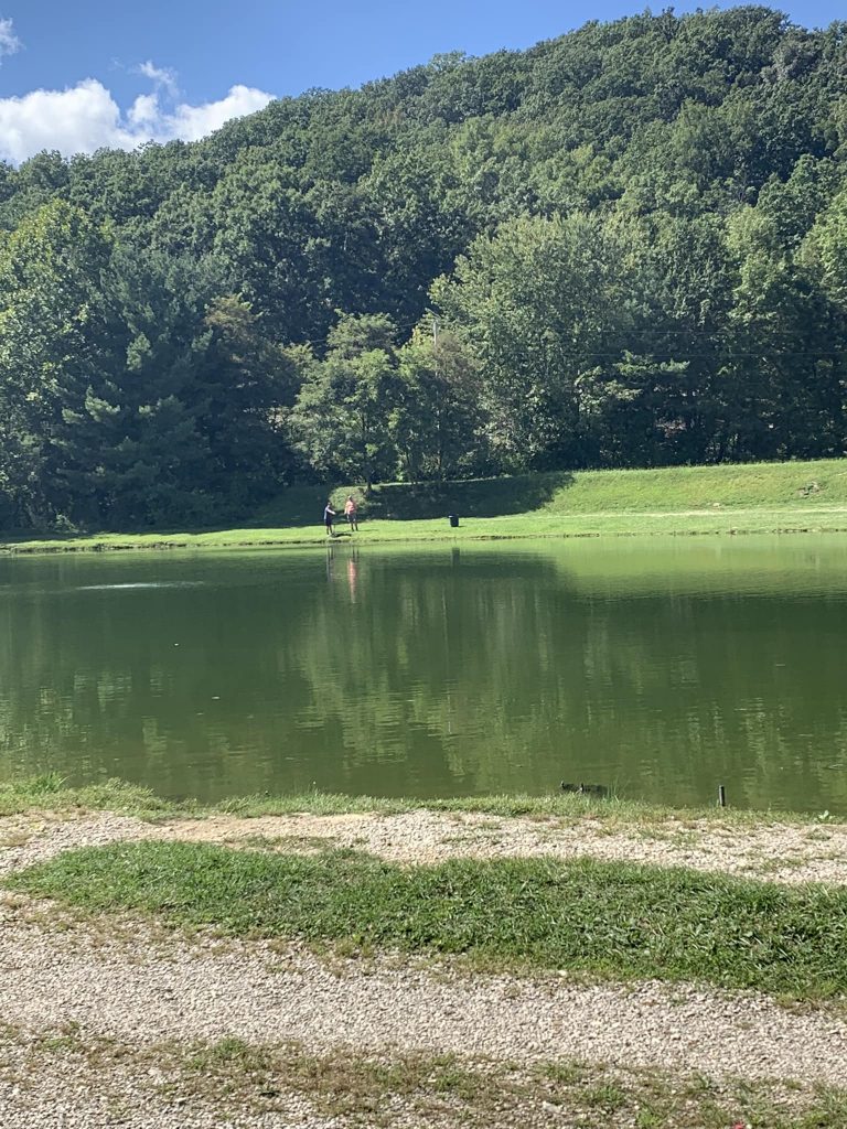 Reids Paylake